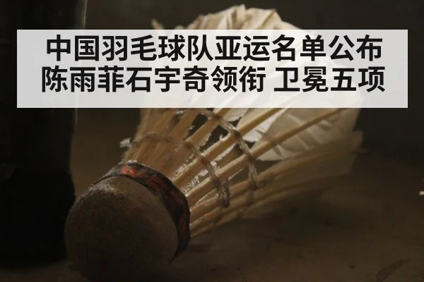 中国羽毛球队亚运名单公布 陈雨菲石宇奇领衔 卫冕五项