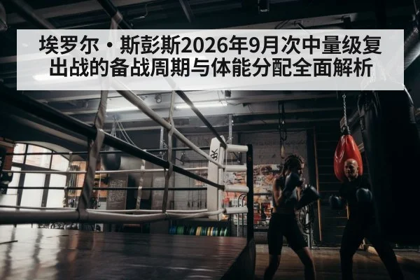 boxer training gym