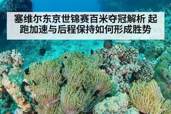 塞维尔东京世锦赛百米夺冠解析 起跑加速与后程保持如何形成胜势